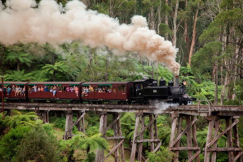 Melbourne Combo: Great Ocean Road, Puffing Billy, Moonlit Sanctuary & Penguins - Find Attractions 0