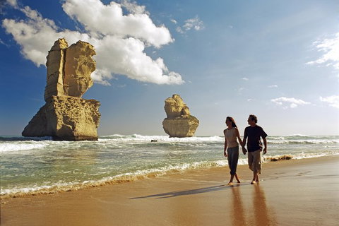 Melbourne Combo: Great Ocean Road, Puffing Billy, Moonlit Sanctuary & Penguins - Find Attractions 8