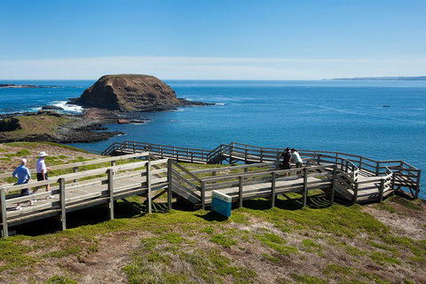 Melbourne Combo: Great Ocean Road, Puffing Billy, Moonlit Sanctuary & Penguins - Find Attractions 3