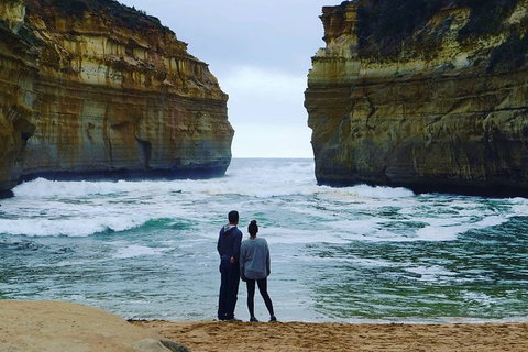 Melbourne Combo: Great Ocean Road, Puffing Billy, Moonlit Sanctuary & Penguins - Find Attractions 6