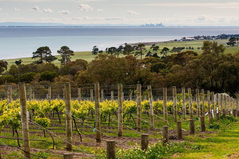 Bellarine Peninsula Small Group Wine Tour With 2 Course Lunch And Morning Tea - Find Attractions 0