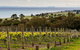 Bellarine Peninsula Small Group Wine Tour With 2 Course Lunch And Morning Tea - thumb 2