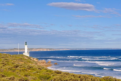 Bellarine Peninsula Small Group Wine Tour With 2 Course Lunch And Morning Tea - Find Attractions 3