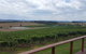 Yarra Valley Winery Tour From Melbourne Including Lunch And Yarra Valley Chocolaterie - thumb 2