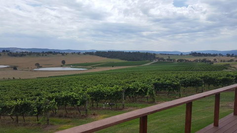 Yarra Valley Winery Tour From Melbourne Including Lunch And Yarra Valley Chocolaterie - Find Attractions 2