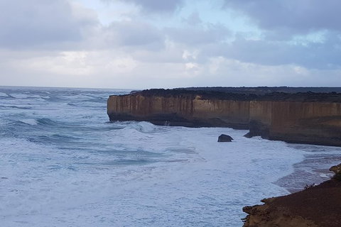 Full-Day Great Ocean Road Tour From Melbourne - Find Attractions 13