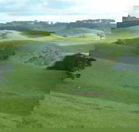 Day Tour of Phillip Island  Surrounding Region - Find Attractions