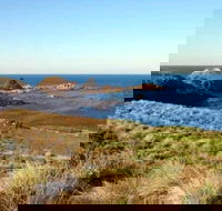 Phillip Island Walking  Bird Watching Tour - Find Attractions