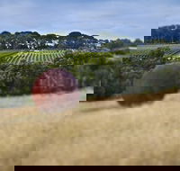 Estate to Plate Montalto Vineyard Gourmet Lunch and Wine-Tasting Tour - Find Attractions