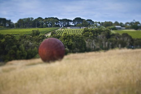 Estate To Plate: Montalto Vineyard Gourmet Lunch And Wine-Tasting Tour - Find Attractions 0