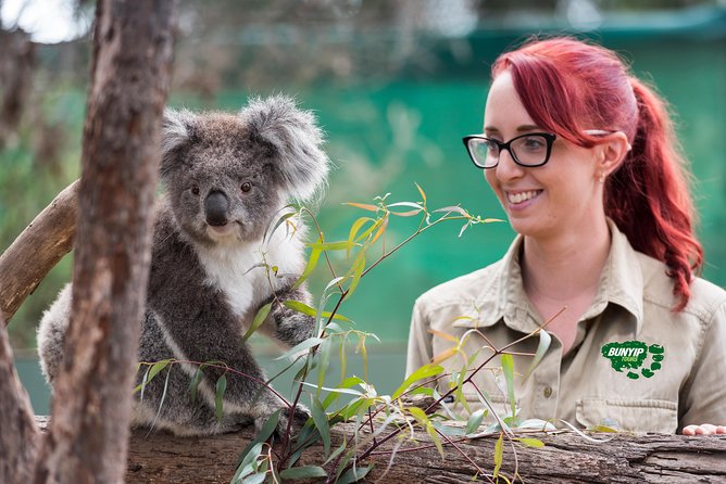 2-Day Phillip Island and Wilsons Promontory Tour from Melbourne Melbourne