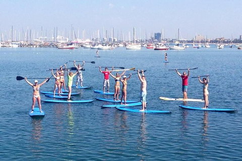 St Kilda Stand-Up Paddle Board Rental - Find Attractions 2