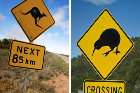 Aroha Tangata Australia And New Zealand 20 Day - Find Attractions 0