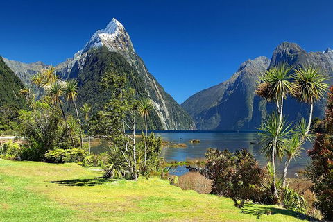 Aroha Tangata Australia And New Zealand 20 Day - Find Attractions 1