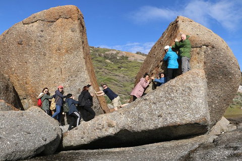 Melbourne Super Saver: Great Ocean Road + Wilsons Promontory + Attraction Pass - Find Attractions 10