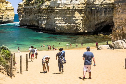 Small-Group Great Ocean Road Classic Day Tour From Melbourne - Find Attractions 6