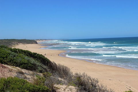 Day Tour Of Phillip Island, The Surrounding Region And Wine Tasting - Find Attractions 5