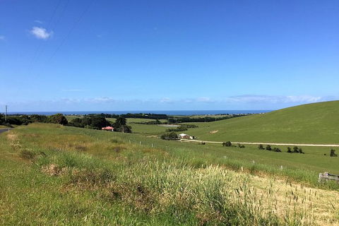 Day Tour Of Phillip Island, The Surrounding Region And Wine Tasting - Find Attractions 6