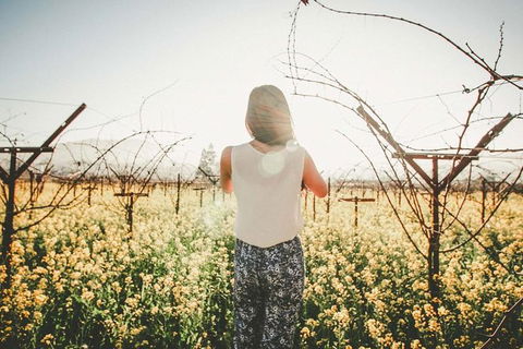 Yarra Valley Rainforest Hike And Winery Tour - Find Attractions 0