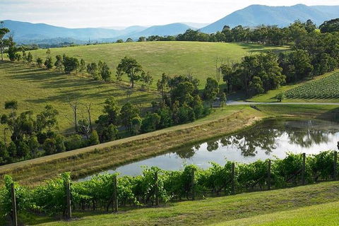 CHEVY CONVERTIBLE Package For 2 People- Wine Lunch Cheese & Chocolate From Melb. - Find Attractions 9