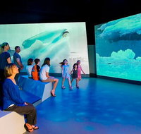 Phillip Island Antarctic Journey Entry ticket - Find Attractions