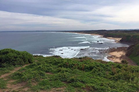 Half Day Phillip Island Woolamai Walking Tour - Find Attractions 0