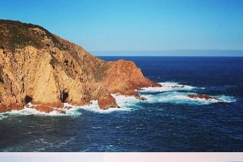 Half Day Phillip Island Woolamai Walking Tour - Find Attractions 1