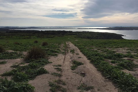 Half Day Phillip Island Woolamai Walking Tour - Find Attractions 8
