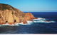 Half Day Phillip Island Woolamai Walking Tour - thumb 6
