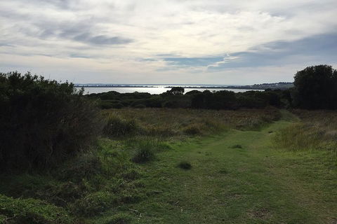 Half Day Phillip Island Woolamai Walking Tour - Find Attractions 4