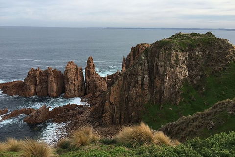 Half Day Phillip Island Woolamai Walking Tour - Find Attractions 16