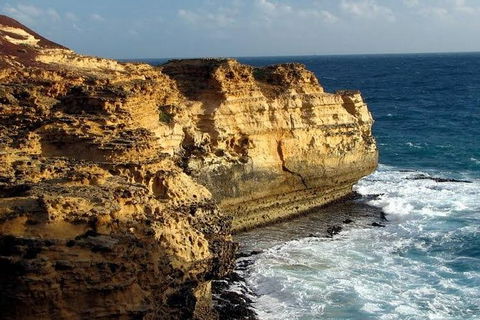 Half Day Phillip Island Woolamai Walking Tour - Find Attractions 12