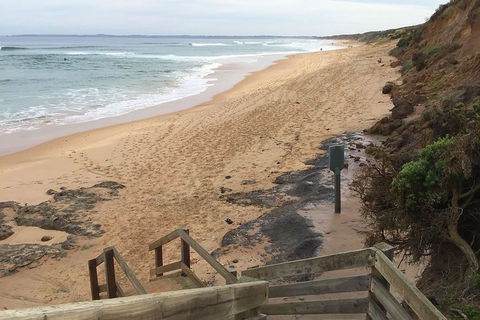 Half Day Phillip Island Woolamai Walking Tour - Find Attractions 11