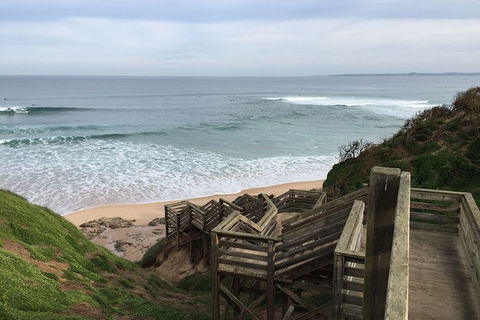 Half Day Phillip Island Woolamai Walking Tour - Find Attractions 5