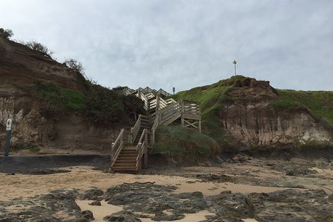 Half Day Phillip Island Woolamai Walking Tour - Find Attractions 14