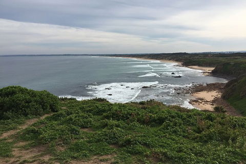 Half Day Phillip Island Woolamai Walking Tour - Find Attractions 10