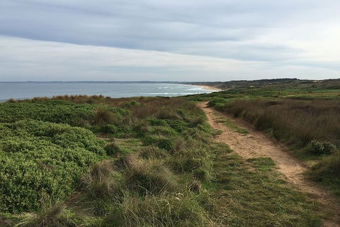 Half Day Phillip Island Woolamai Walking Tour - Find Attractions 3