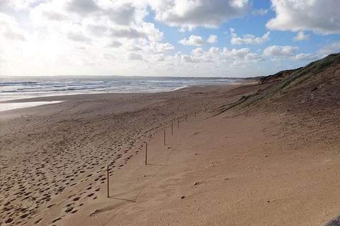 Half Day Phillip Island Woolamai Walking Tour - Find Attractions 7