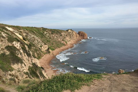 Half Day Phillip Island Woolamai Walking Tour - Find Attractions 2