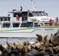 Phillip Island Seal-Watching Cruise - Find Attractions