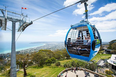 Around The Bay Sightseeing And Bay Cruise - Find Attractions 8