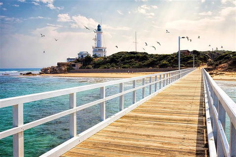 Around The Bay Sightseeing And Bay Cruise - Find Attractions 9