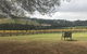 Rick's Wine Tours - thumb 1