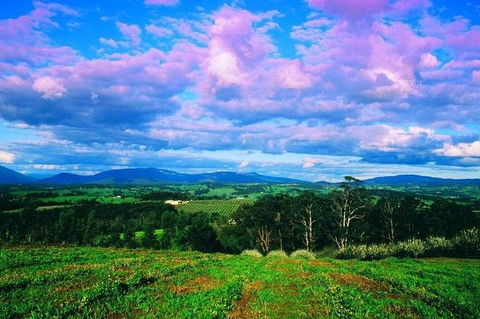 CHEVY CONVERTIBLE Package For 4 -Wine Lunch Cheese & Chocolate From Yarra Valley - Find Attractions 7