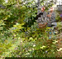 Guided Edible Forest Tour - Find Attractions