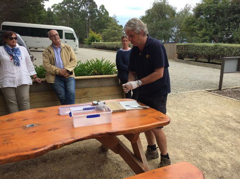 Bruny Island All Inclusive Gourmet Day Trip From Hobart - Find Attractions 17