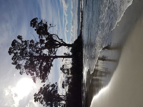 Bruny Island All Inclusive Gourmet Day Trip From Hobart - Find Attractions 5