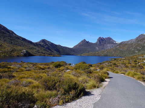 5-Day Best Of Tasmania Tour From Hobart - Find Attractions 5