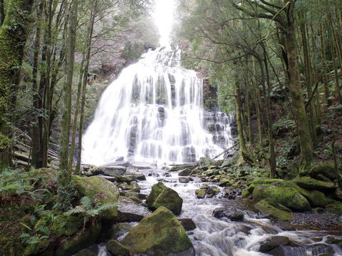 5-Day Best Of Tasmania Tour From Hobart - Find Attractions 2