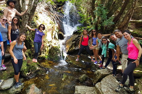 5-Day Best Of Tasmania Tour From Hobart - Find Attractions 9